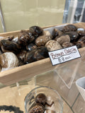 Brown Calcite