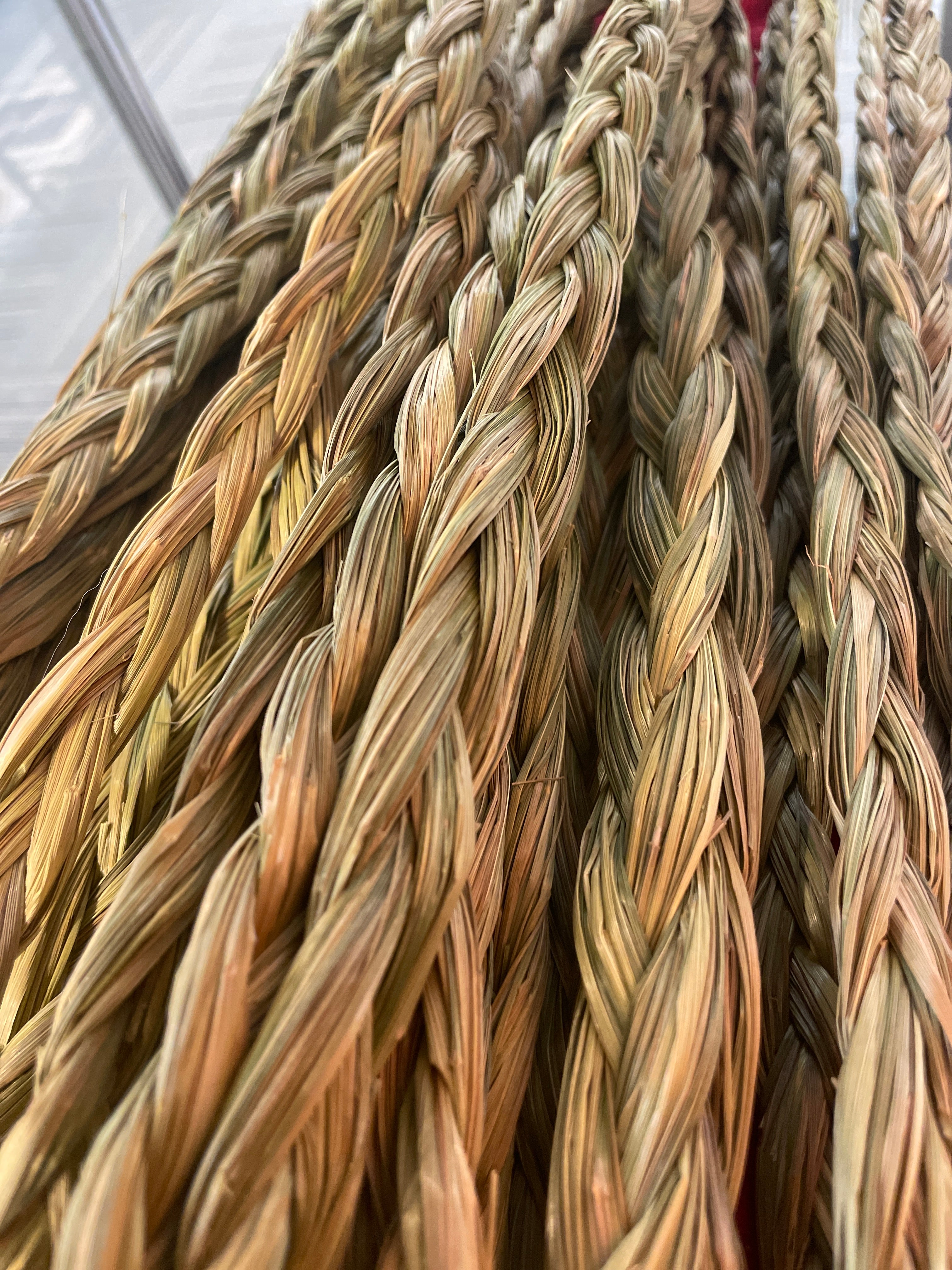 Sweetgrass