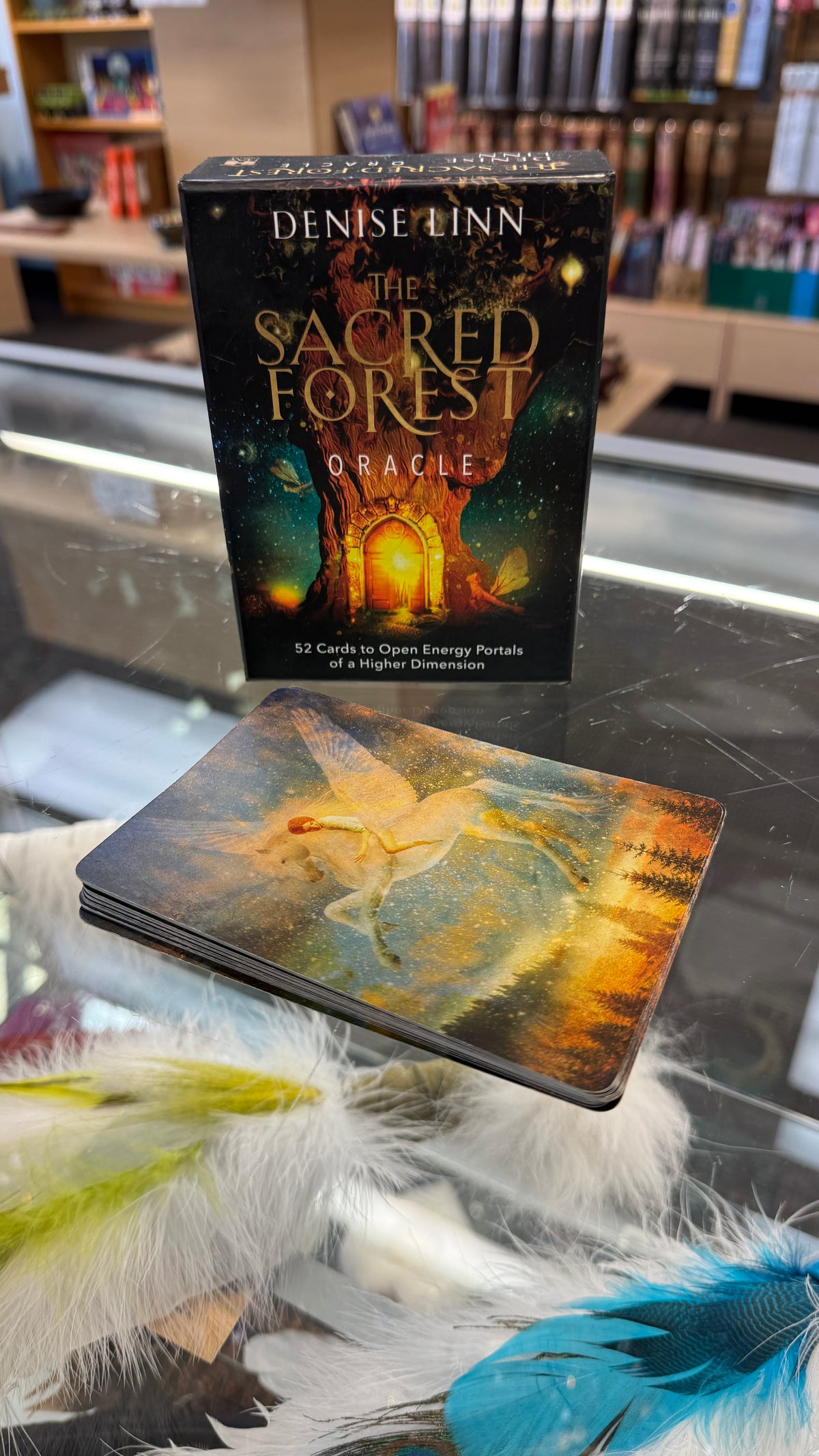 The Sacred Forest Oracle