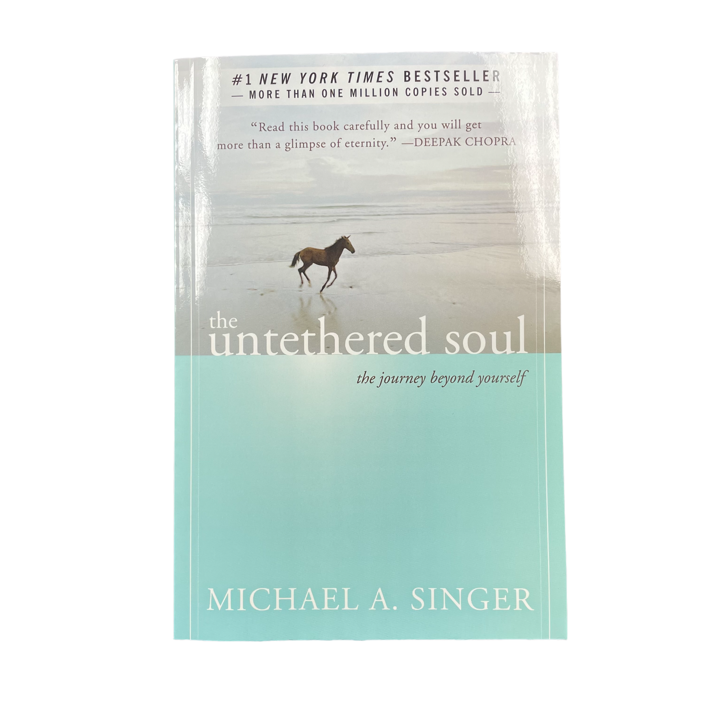The Untethered Soul: The Journey Beyond Yourself