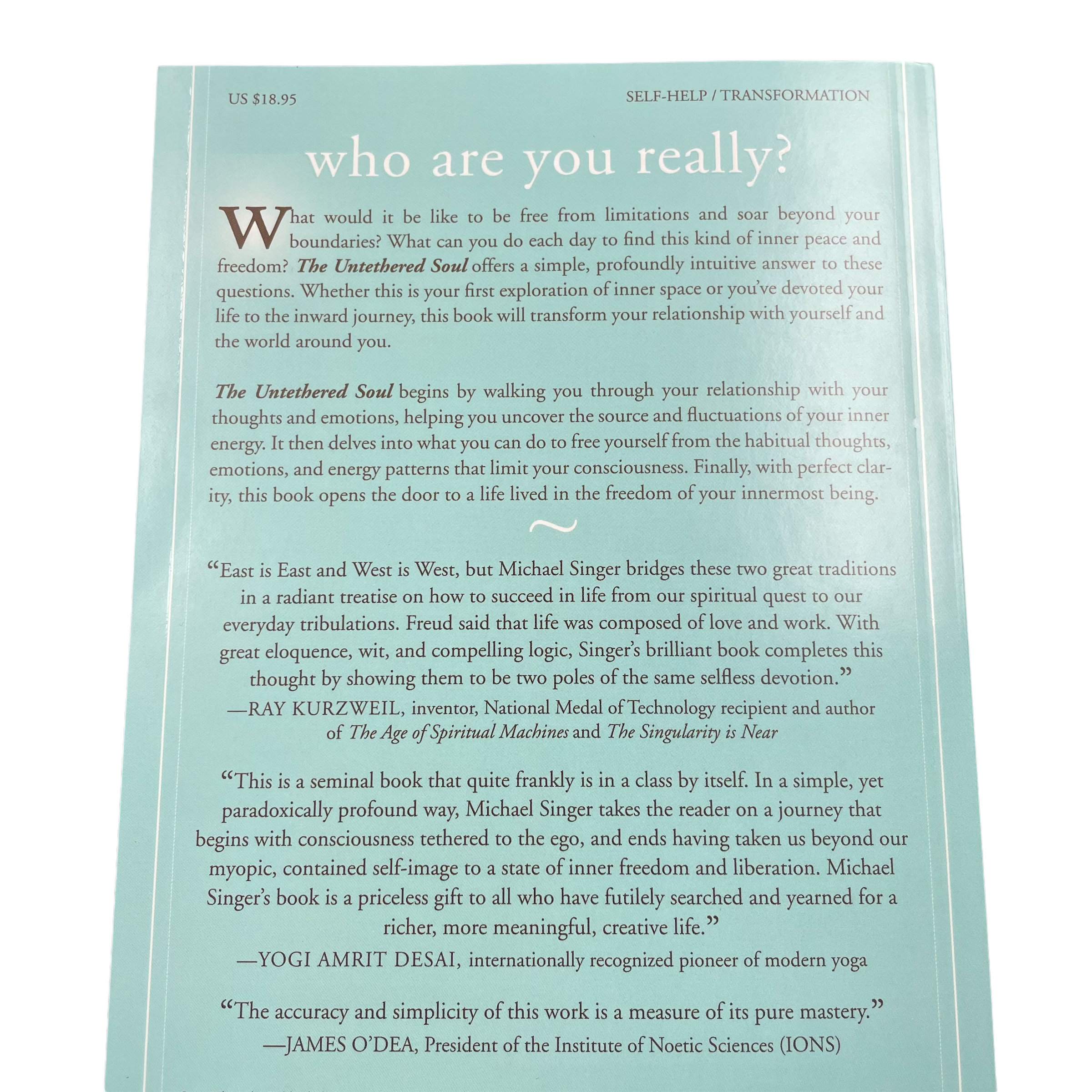 The Untethered Soul: The Journey Beyond Yourself